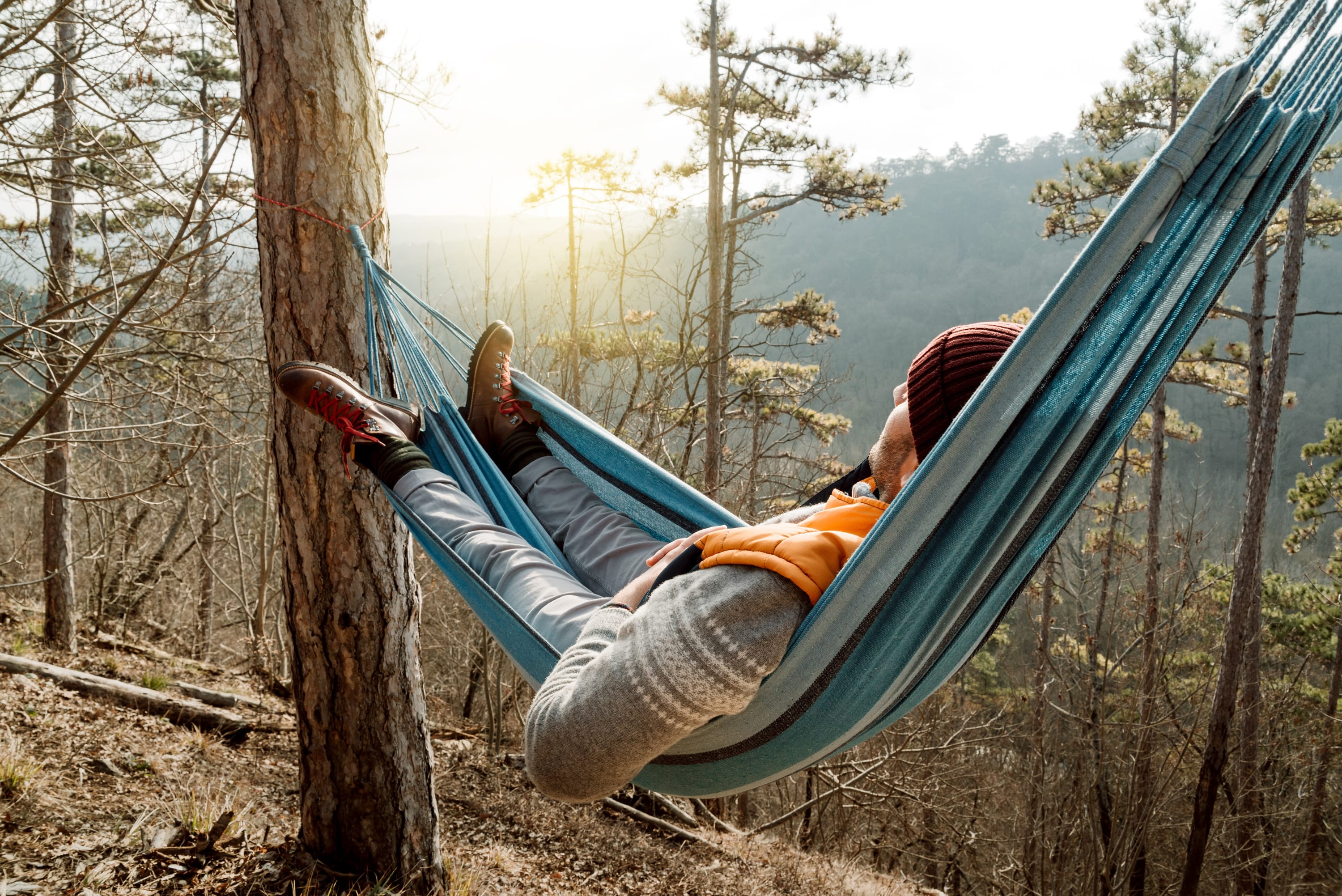 Hammock