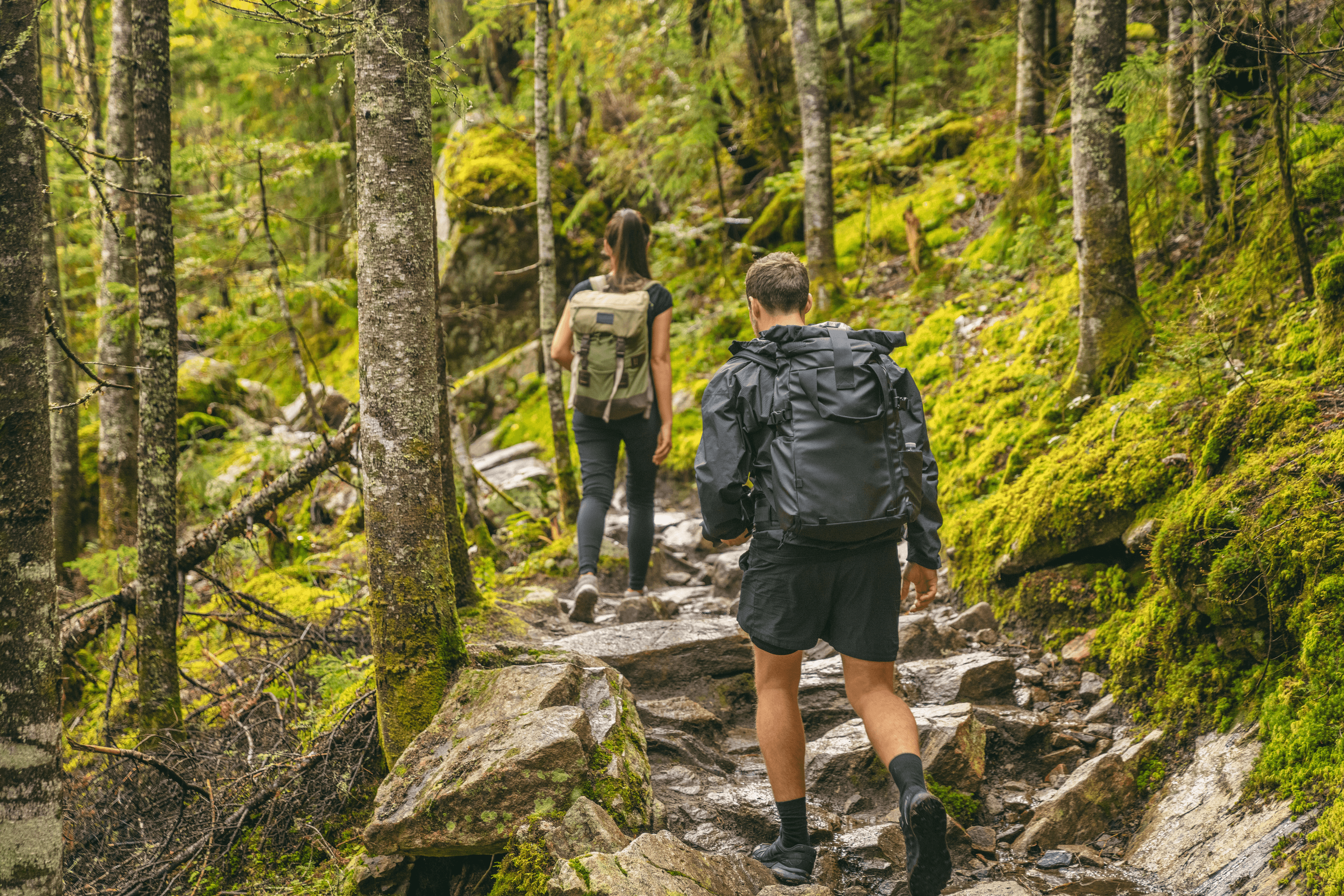 Hiking & Trekking