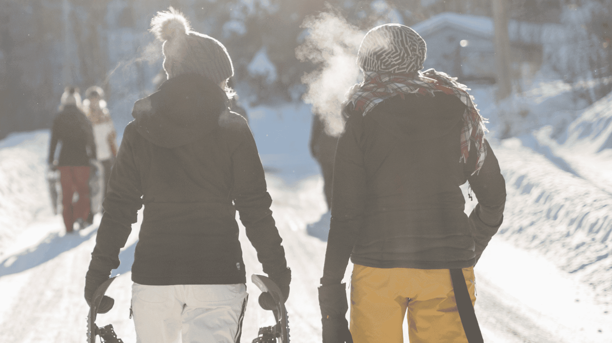 Winter Expedition